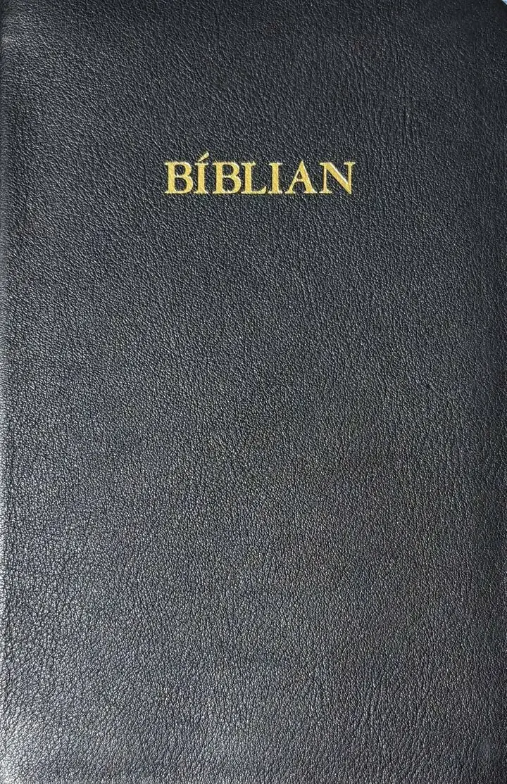 BÍBLIAN LÍTIL SVØRT