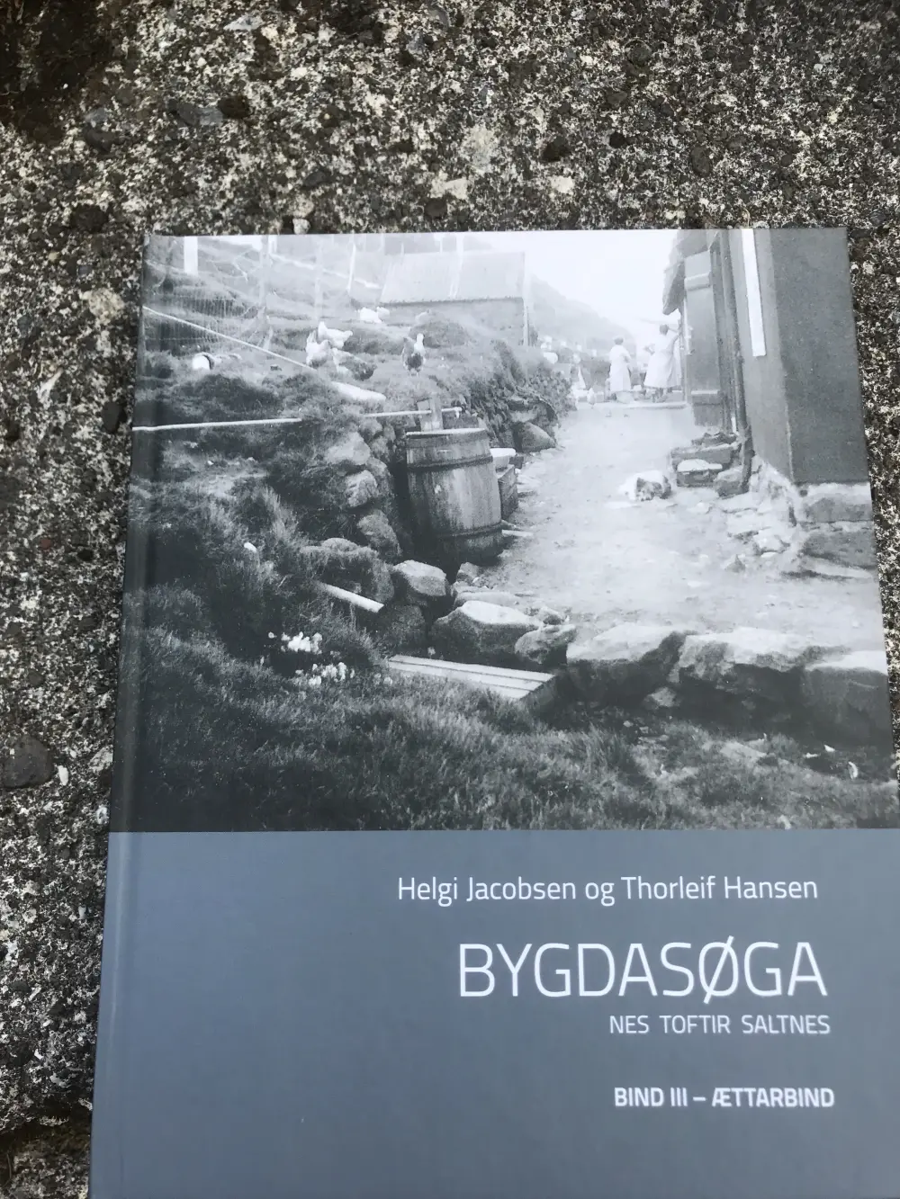 Bygdasøga 3.Nes-Toftir-Saltnes