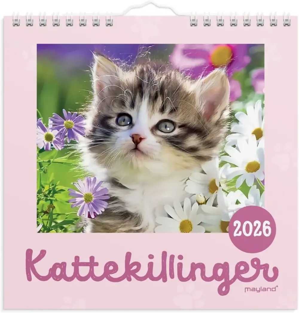 Vægkalender 2026 kattekillinger 16 x 16 cm