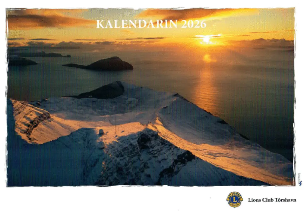 MYNDAKALENDARI 2026, LIONS