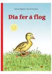 Dia fer á flog