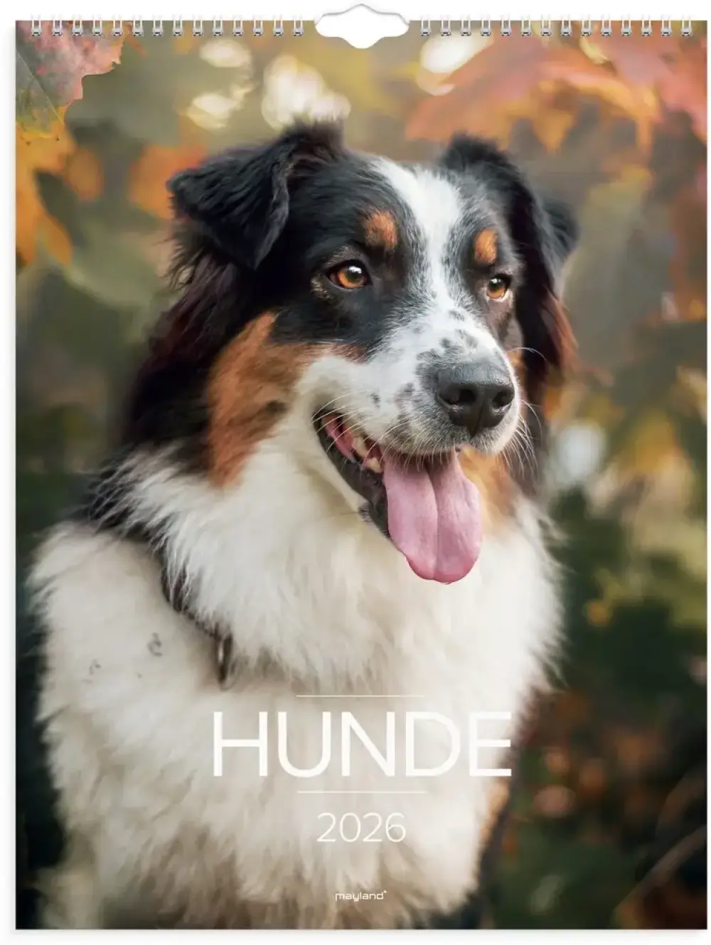 Vægkalender 2026 hunde 29,5 x 39 cm