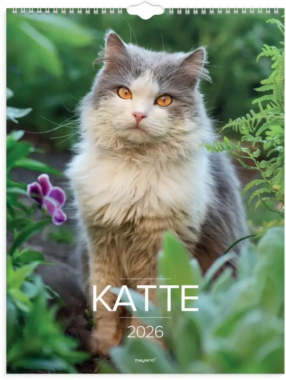 Vægkalender 2026 katte 29,5 x 39 cm